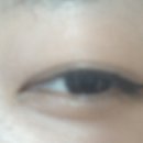 이지브러쉬
