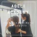 아벨리아카데미