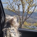 (주)와이즈박스 | [달리의 여행 일기 : 구례 섬지 캠핑장]