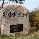 제142차 둘레길 "황령산 벗꽃길" 이미지