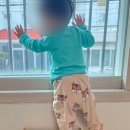 태중농장 | 다원몬테소리 스툴 아이와 함께 활용도 높게 사용하기
