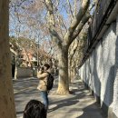 21세기 태권도 | 8살 아이와 겨울 상하이 ( 쉬자후이 공원 / 쉬자후이 성당 / 티엔즈팡 )