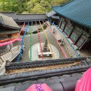 마하사 응진전 석조나한상 | 부산 金蓮山(금련산) 摩訶寺(마하사)