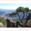 양화축산 이미지