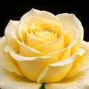 CasaBlanca - Ennah / Long Long Time - Linda Ronstadt 이미지