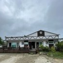 올레펜션 | 포항 대형견 가능 글램핑 올레애견펜션 내돈내산 솔직후기 가성비최고
