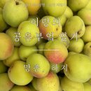 하지네공방