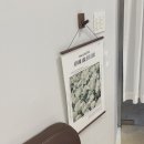 연남동 사진관 ‘비스너그 스튜디오’ 내돈내산 추천 후기