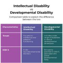 INTELLECTUAL DISABLE VS DEVEOPMENTAL DISABLE 이미지