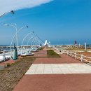 정자항 공원 이미지