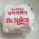 상하이주유소 | 맥도날드 맥스파이시 상하이 버거