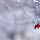 주식회사 조양무역 이미지