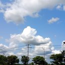 진국순대국 이미지