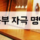 토즈스터디센터부개독서실 이미지