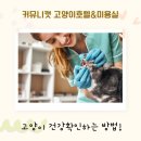 커뮤니캣 고양이 호텔&미용실 이미지