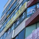 모찌네호캉스 | 성남 수진역 실내 애견 카페 강아지 호텔 모찌네호캉스 후기