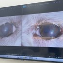 24시 해든동물의료센터 의정부점 이미지