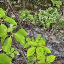 골뫼골명품마을 이미지