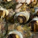 in 섬 story 이미지