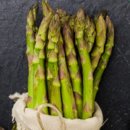 산지뚝심 이미지