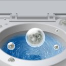 서현동물병원 이미지