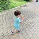 장홍푸드 이미지