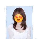 종로-신영-종로-영-159 | 산호맨숀 내돈내산 솔직후기 (feat. 서순라길 and 빙봉)