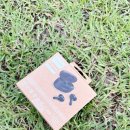 1109 | 필립스 TAT1109 블루투스 이어폰 솔직 후기 가성비 최고 커널형 이어폰 추천