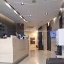 영양센타압구정점 | 헤어셀•모낭주사 압구정 탈모치료 후기 | 압구정 모발이식 전문 센터에서 받은 솔직 리뷰