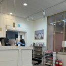 분당-29 | 29주 만삭사진 촬영 후기 베일리수 분당판교점