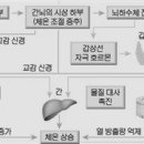 생명과학(A) 이미지