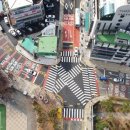 금정초교 이미지