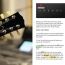 튠플러스 이미지