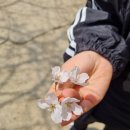 성심부동산공인중개사사무소 이미지