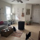 인종목장 | 미국 텍사스 위빠사나 수련 (미국시트콤 같이 웃긴 명상센터)