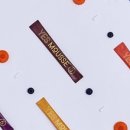 강남펫스타일 이미지