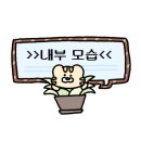 엔엔(NN)헤어