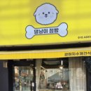 댕냥이 점빵 이미지