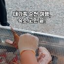 무진 펜션 이미지