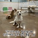 그래요 - 연수구 컨벤시아대로 100 | 그래요