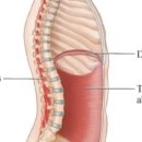 모던필라테스김해