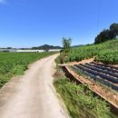 율리1리 이미지