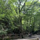 들돌길 | 계룡산 관음봉 첫 등산 후기, 초보도 다녀온 코스와 난이도!