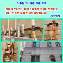 호진식당 이미지