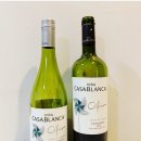 (주)비노기술 이미지