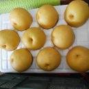 유정농원 이미지