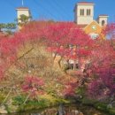 매산큰길 이미지