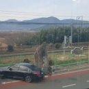 호포매운탕명가 이미지