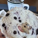 이글 | 인천 서구 청라 베이글 수제크림치즈 맛집 테디스베이글 솔직후기