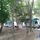 (주)포레스트 카라반 파크 이미지